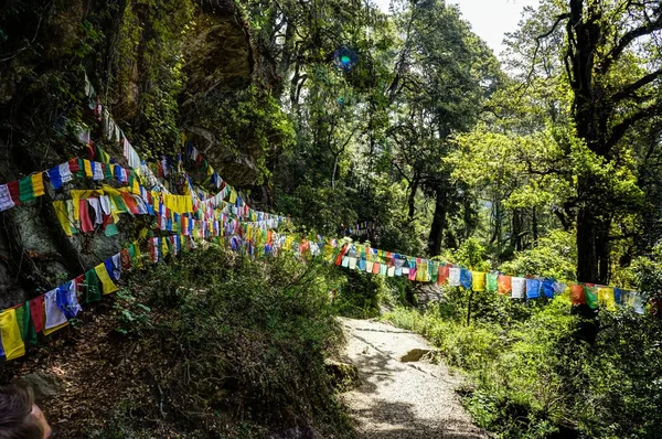 Sendero a Nido de Tigres Bután — Foto de Stock