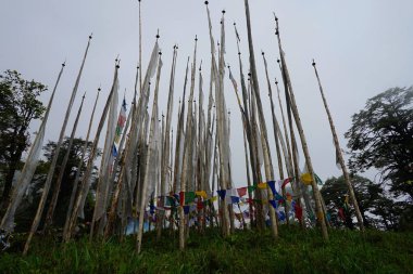 Dochula pass Bhutan Himalaya