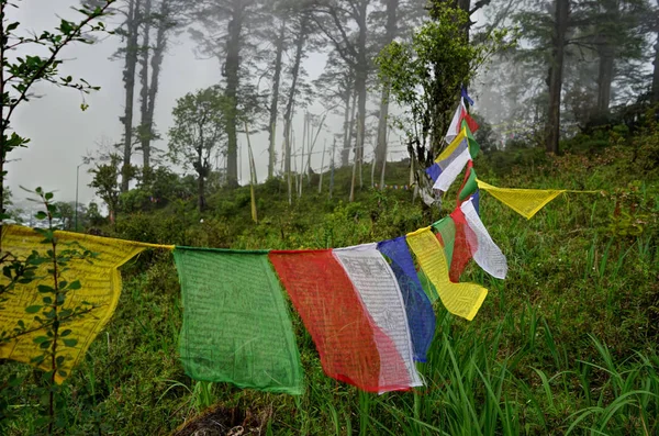 Utsikt över bergen i Bhutan — Stockfoto