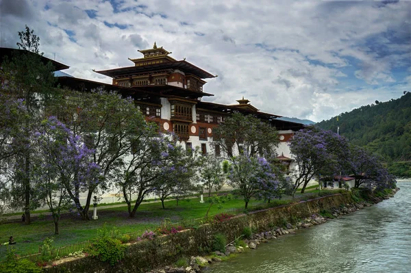 Punakha Dzong View — Stock Photo, Image