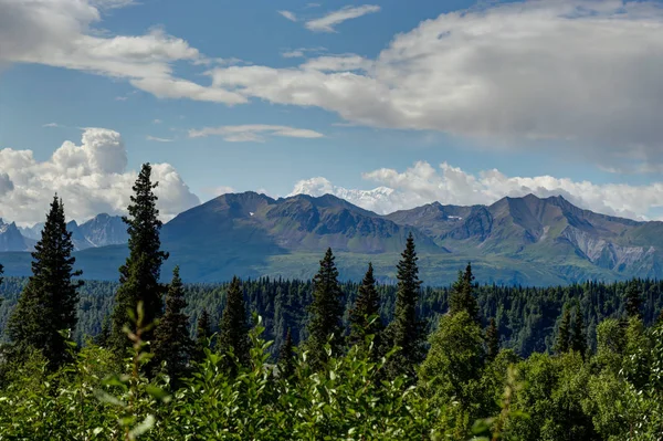 Pohled přes stromy s pohoří a mraky v Aljašce United — Stock fotografie