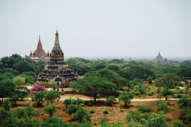 Thatbinnyu Tapınağı Pagoda Bagan Myanmbar Burma