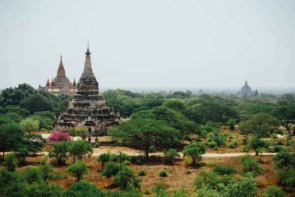 Thatbinnyu Tapınağı Pagoda Bagan Myanmbar Burma