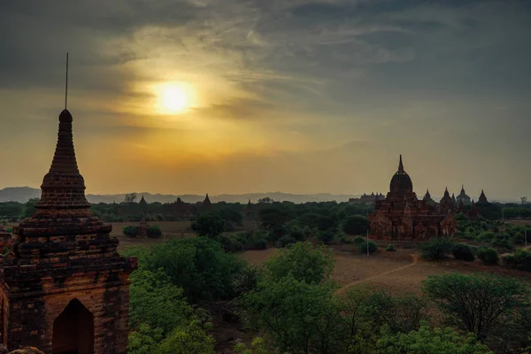 Sunrise Pagoda alan Bagan M ağaçlarda doğru manzaralı