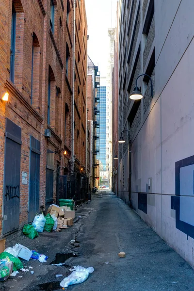 Çöp Amerikan Backyard Seattle Washington Uni tuğla ile