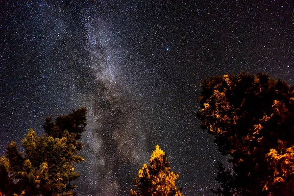 Milky Way nachthemel uitzicht met verlichte bomen in kratermeer N — Stockfoto