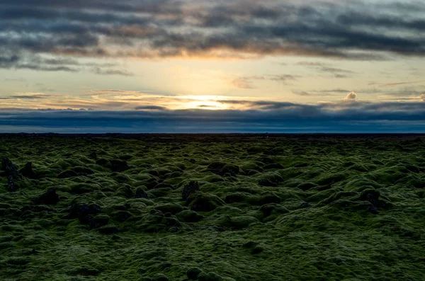 Puesta de sol sobre Islandia Paisaje con musgo verde durante la hora dorada —  Fotos de Stock