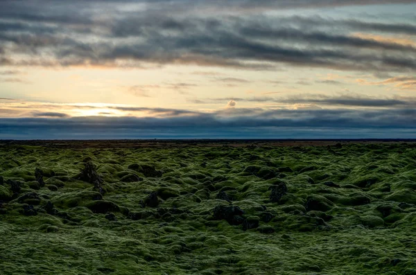 Island landskap med grön mossa och utsikt mot bergen dar — Stockfoto