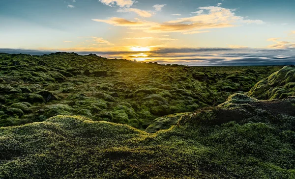 Puesta de sol sobre Islandia Paisaje con musgo verde durante la hora dorada — Foto de Stock