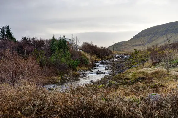 Island landskap med grön mossa och utsikt mot bergen clo — Stockfoto