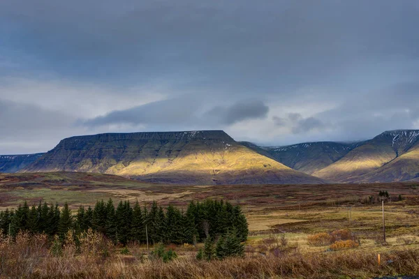 Islandská krajina s zeleným mechem a pohled směrem k pohoří clo — Stock fotografie