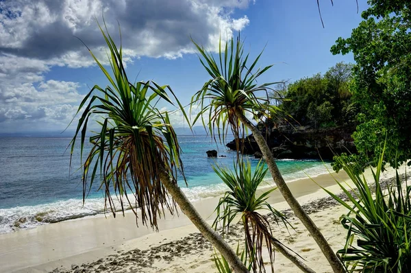Playa de Nusa Lembongan con palmeras azul cielo olas Bali —  Fotos de Stock