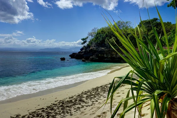 Playa de Nusa Lembongan con palmeras azul cielo olas Bali —  Fotos de Stock