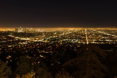 Griffith Gözlemevi Los Angeles La şehir gece görüş