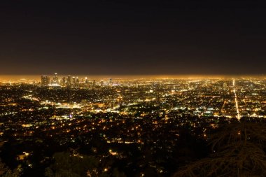 Griffith Gözlemevi Los Angeles La şehir gece görüş