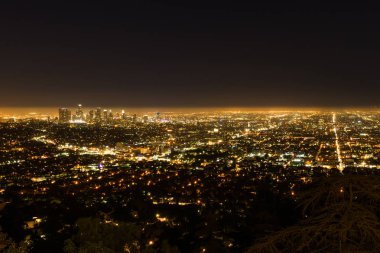 Griffith Gözlemevi Los Angeles La şehir gece görüş