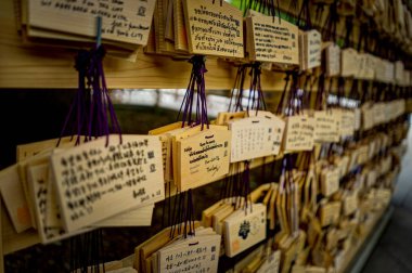Ahşap dualar Meiji tapınak Yoyogi Park Tokyo Japonya Asya