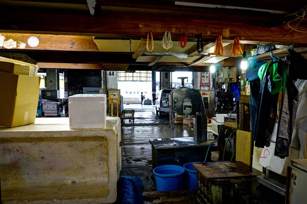 Tsukiji Balık pazarı Tokyo