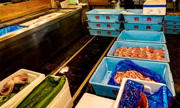 Mercado de peixe de Tsukiji Tóquio — Fotografia de Stock