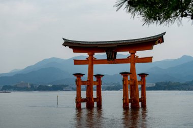 Itsukuşima Torii tapınak Miyajima ada Japonya