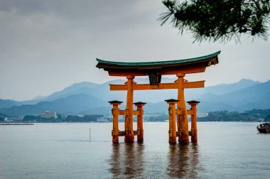 Itsukuşima Torii tapınak Miyajima ada Japonya