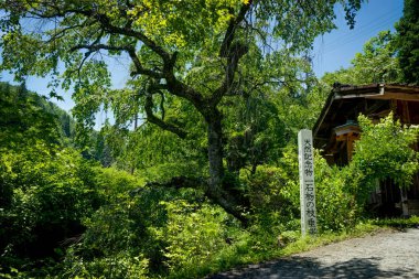 Tsumago Magone iz Japonya