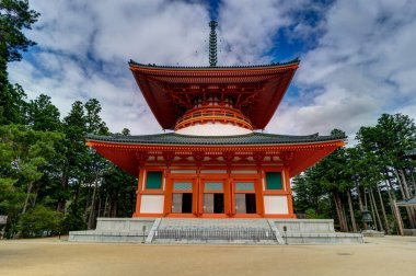 Koyasan Danjo Garan tapınak tapınak Japonya