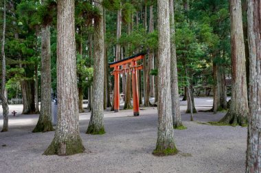 Torii kapıda Koyasan Wakayama Japonya