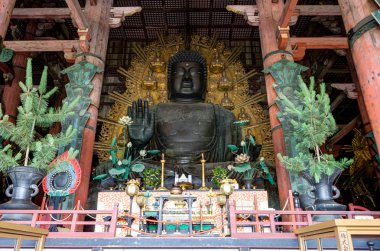 Buda heykeli Nara Japonya'da
