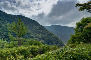 Okochi Sanso botanik Japon bahçesi