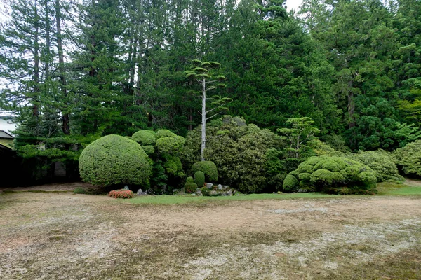 Japanese Garden trees plants green round — Stock Photo, Image