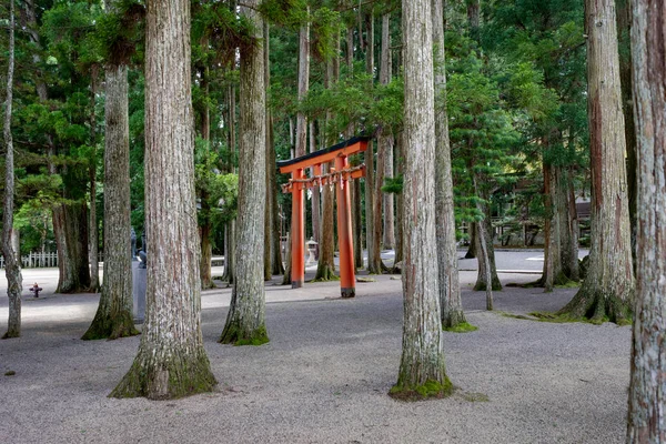 Torii kapıda Koyasan Wakayama Japonya