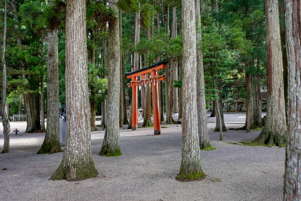 Torii kapıda Koyasan Wakayama Japonya — Stok fotoğraf