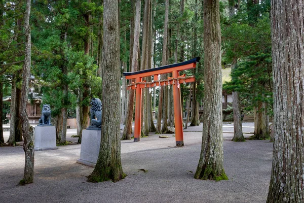 Torii kapıda Koyasan Wakayama Japonya