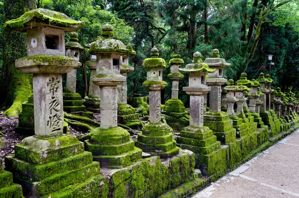 Jelen mezi staré náhrobní kameny v Nara Japonsko — Stock fotografie