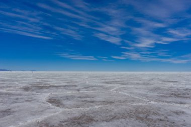 Salar de Uyuni çöl Altiplano Bolivya'daki tuz daireler