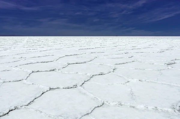 Salt Flats in Salar de Uyuni Desert Altiplano Bolivia