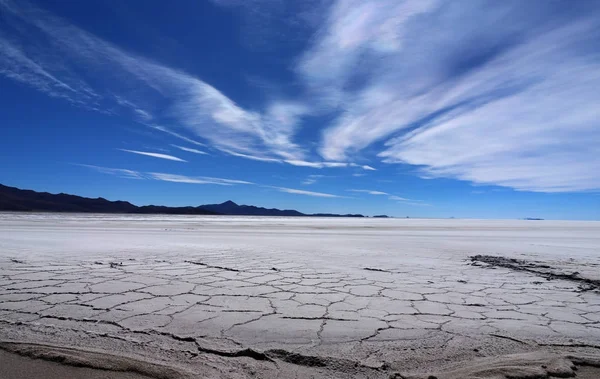 Salar de Uyuni çöl Bolivya'daki tuz daireler — Stok fotoğraf