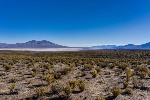 Перегляд по всій Альтіплано Перу пустелі Салар де Уюні — стокове фото