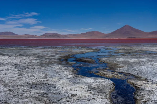Laguna Colorada Altiplano Bolivya, pembe flamingolar — Stok fotoğraf