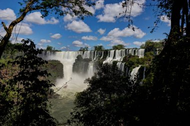 Iguazu Şelaleleri Ormanı Arjantin Brezilya