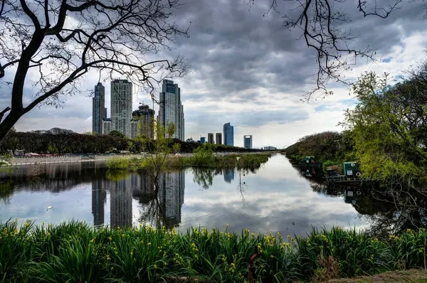 Arranha-céu Buenos Aires Argentina com árvores — Fotografia de Stock