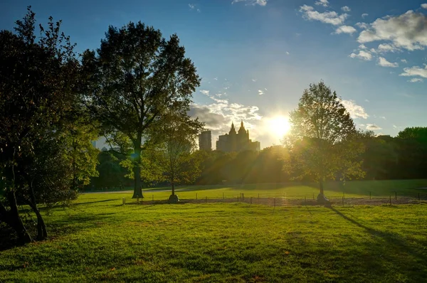 New York Central Park Sonnenuntergang blauer Himmel Bäume manhatten — Stockfoto