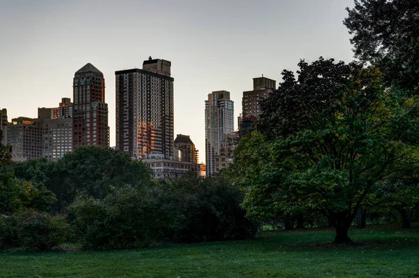 New York Central Park med Skyline utsikt solnedgång träd moln — Stockfoto