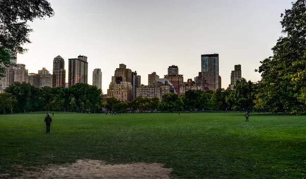 New York Central Park met Skyline View Sunset bomen wolken — Stockfoto