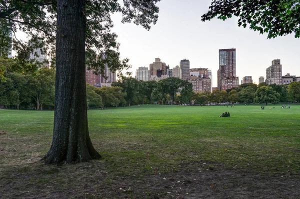 New York Central Park med Skyline utsikt solnedgång träd moln — Stockfoto