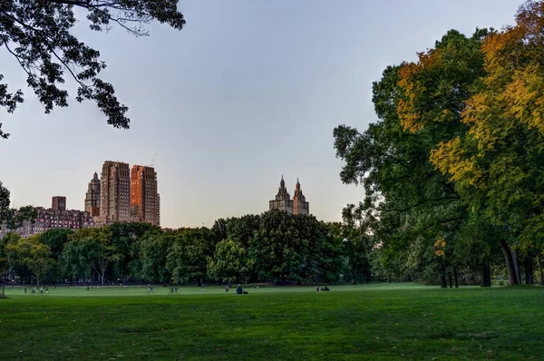 New York Central Park met Skyline View Sunset bomen wolken — Stockfoto