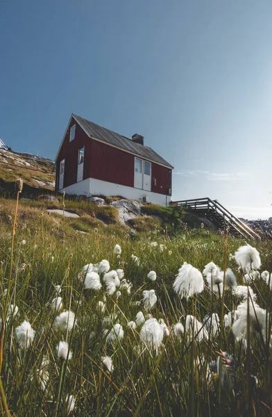 Το πολύχρωμο κόκκινο σπίτι του Rodebay Ilulissat, Γροιλανδία. Ο οικισμός αυτός βρίσκεται σε μια μικρή χερσόνησο που εκσφενδονίζεται από την ηπειρωτική χώρα στο ανατολικό Disko Bay, 22,5 χιλιόμετρα βόρεια του Ilulissat — Φωτογραφία Αρχείου