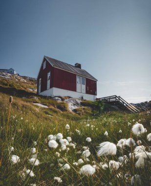 Grönland, Rodebay Ilulissat 'ın renkli kırmızı evi. Bu yerleşim yeri, Ilulissat 'ın 22,5 km kuzeyindeki doğudaki Disko Körfezi' ne ana karadan çıkan küçük bir yarımadadır.