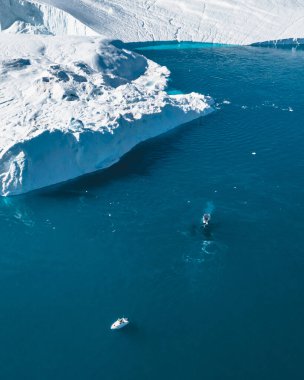 Kambur balina küçük bir balıkçı teknesinin yakınında dalış yapıyor, tekne dalışta görünüyor. Mavi okyanus suyu olan buzdağları. İlulissat yakınlarındaki Grönland Disko Körfezi bölgesi.